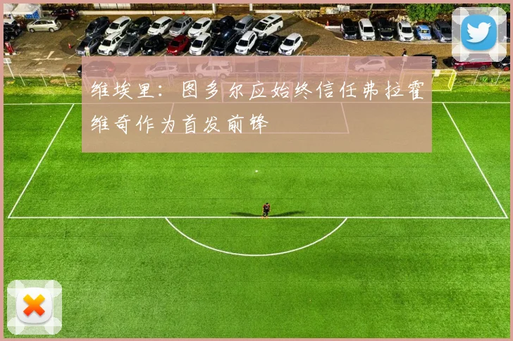 维埃里：图多尔应始终信任弗拉霍维奇作为首发前锋