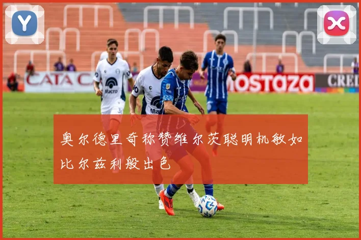 奥尔德里奇称赞维尔茨聪明机敏如比尔兹利般出色