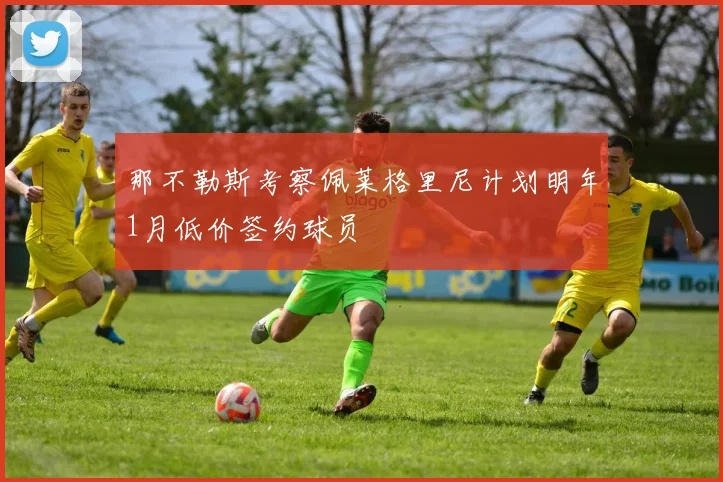 那不勒斯考察佩莱格里尼计划明年1月低价签约球员