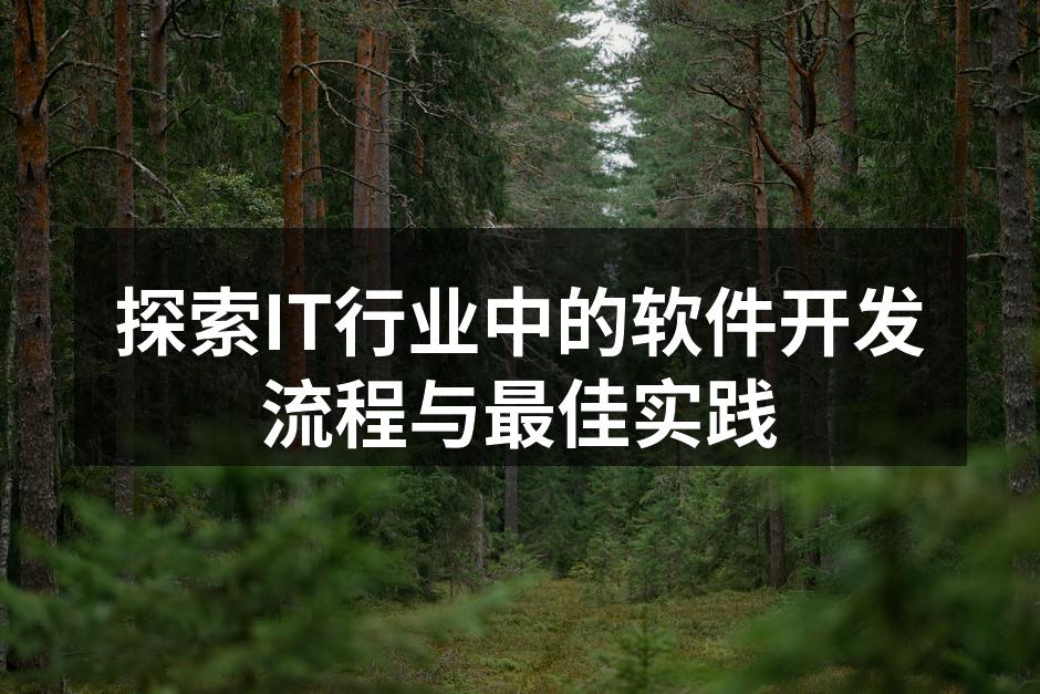 探索IT行业中的软件开发流程与最佳实践