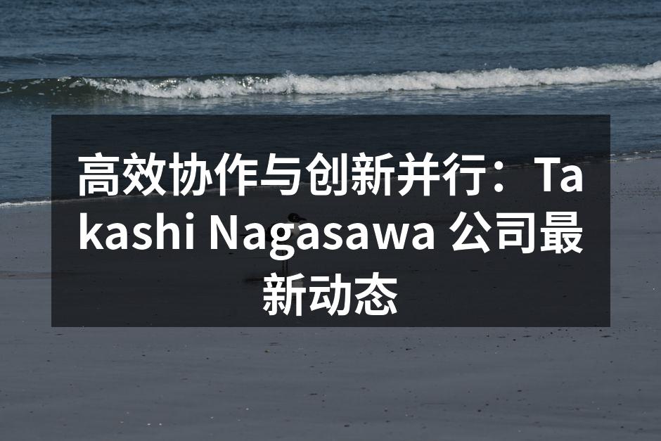 高效协作与创新并行:Takashi Na