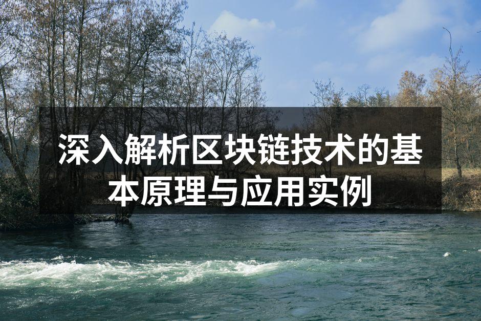 深入解析区块链技术的基本原理与应用实例