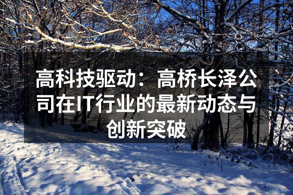 高科技驱动：高桥长泽公司在IT行业的最新